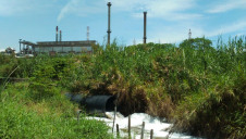 The report claims companies to have used CV factories are allowing their manufacturers to deliver viscose-based products with little information on their origin or environmental impact